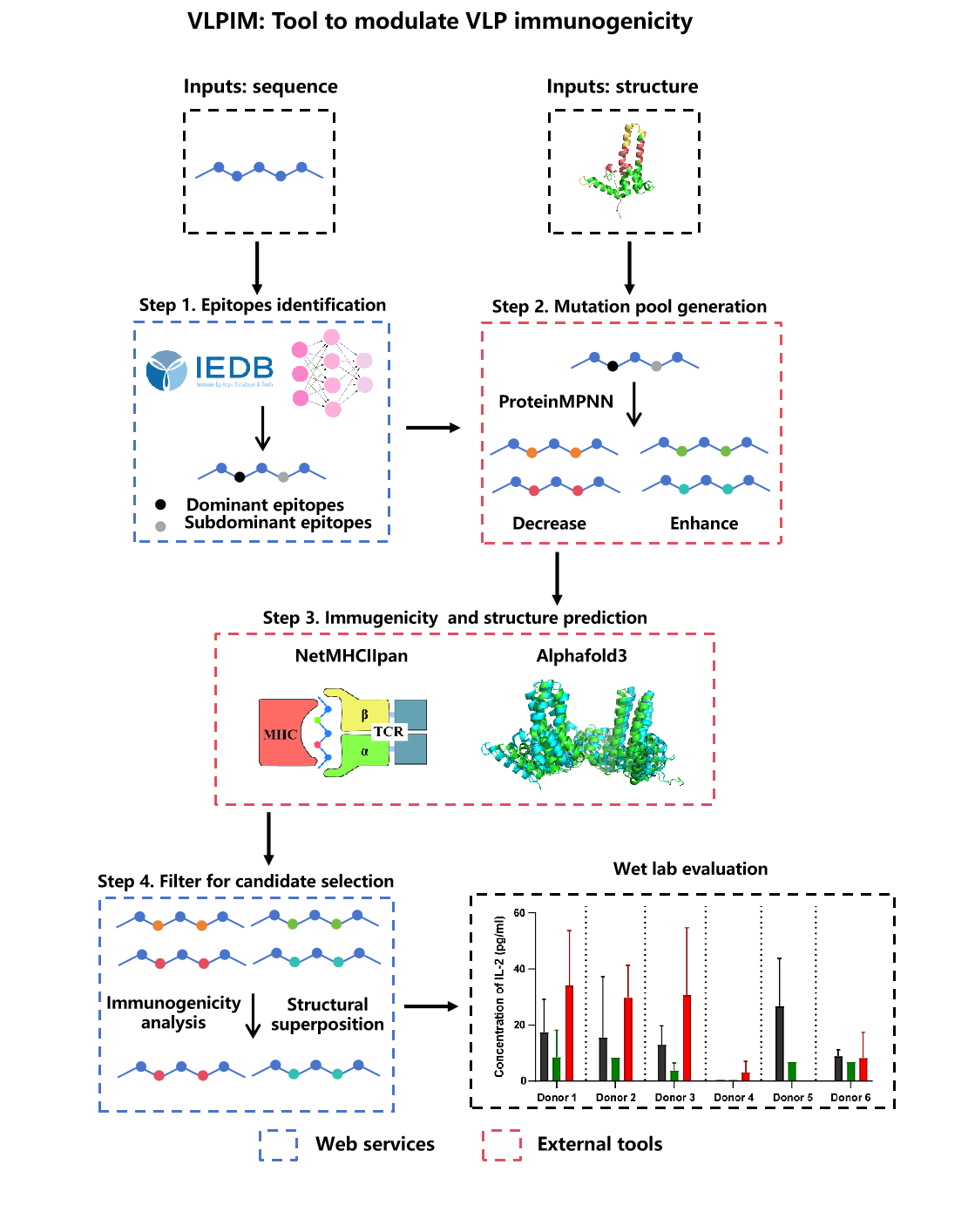 Workflow of VLPIM